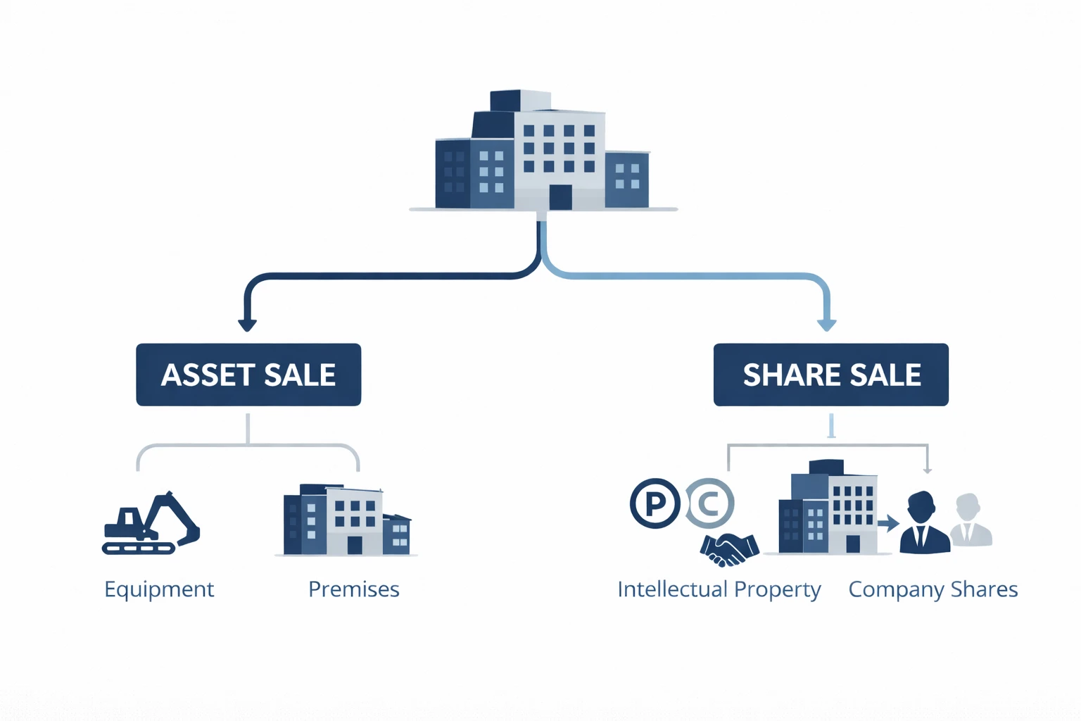 Asset sale vs share sale infographic showing a business split into two sale structures, with equipment and premises under an asset sale, and company shares, intellectual property, and goodwill transferring ownership under a share sale Future Business Brokers Pty Ltd